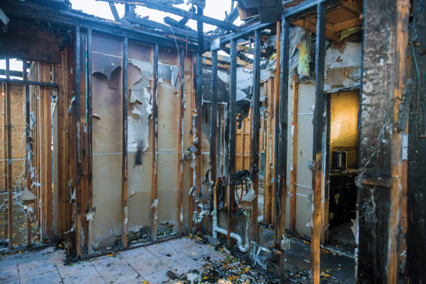 Professional Odor Removal technician working in Trenton, MO